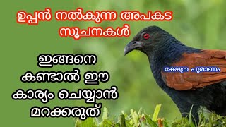 അപകടം സംഭവിക്കുന്നതിന് മുൻപ് മാത്രം ഉപ്പൻ നൽക്കുന്ന സൂചന jyothisham Malayalam uppan astrology [upl. by Loma]