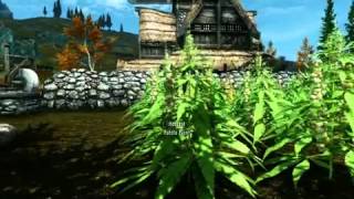 Skyrim Marijuana plant mod LINK [upl. by Yentirb738]