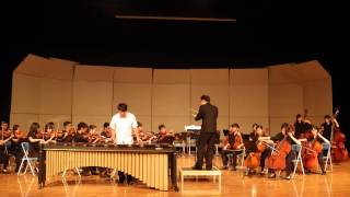 Emmanuel SejourneMarimba Concerto mov 1 performance by TingChun Yeh [upl. by Naeloj639]