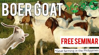 Seminar for Goat Farming  Goat Farming in Philippines  Boer goat farming Philippines Happy Farmer [upl. by Epilihp]