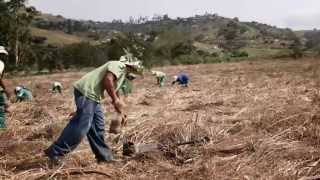 English  Climate Change 2014 Impacts Adaptation and Vulnerability [upl. by Godard]