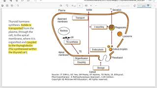 Pharmacotherapy of thyroid gland part 1 [upl. by Akiram]