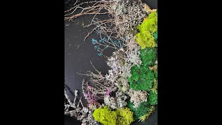 Resin Art diy epoxy moss amp lichen table decor декор столика эпоксидная смола мох сухоцветы ягель [upl. by Jerold]