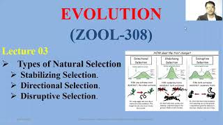 Stabilizing Disruptive and Directional Selection Stabilizing Disruptive Directional Selection [upl. by Fred418]