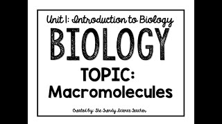 Macromolecules Lesson Biology [upl. by Sartin]