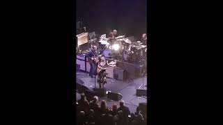 Tedeschi Trucks Band  The Chicago Theatre  24 01 2020  Anyhow [upl. by Wesle213]