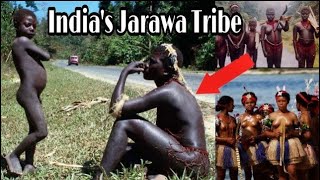 Tribes of Andaman  Jarawa Sentinelese Onge Tribe  Part 1  Dark Ride [upl. by Nickola]