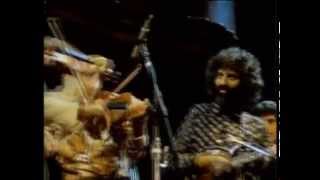 Stéphane Grappelli and David Grisman  Sweet Georgia Brown San Francisco 1982 official HQ video [upl. by Kimber44]