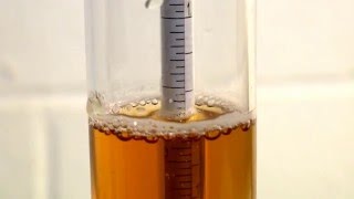 How to Use a Hydrometer for Homebrewing [upl. by Scheld]