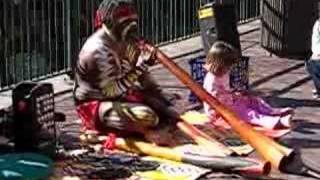 Didgeridoo  quotKikin Kookasquot by The Web [upl. by Eeresed]