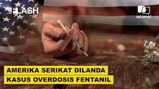 Amerika Serikat Dilanda Kasus Overdosis Fentanil  Asumsi Flash [upl. by Aicre987]