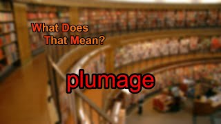 What does plumage mean [upl. by Camey]