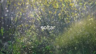 Soltar  Bogard Lyric Video [upl. by Aved37]