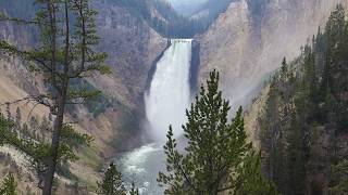 Yellowstone National Park  Grand Canyon of Yellowstone  Upper amp Lower Falls 2018 [upl. by Andreas212]