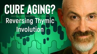 REVERSE THYMIC INVOLUTION  A Cure To Aging 2019 [upl. by Dlabihcra]