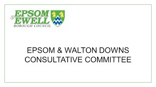 Epsom and Walton Downs Consultative Committee  14 October 2024 [upl. by Octavius]