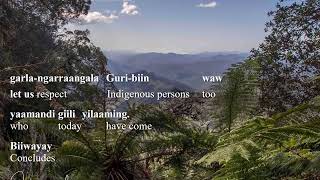 Gumbaynggirr basic nouns part 1 with Micklo [upl. by Trebleht]