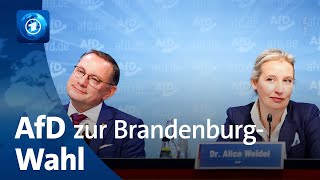 AfDBundessprecherinnen Weidel und Chrupalla zur Landtagswahl in Brandenburg [upl. by Llehsal]