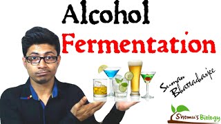 Alcohol fermentation [upl. by Pedrick]