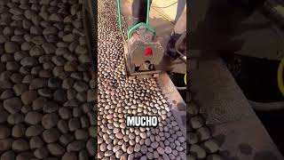 El uso más sorprendente de las piedras de desecho shortsvideo [upl. by Innus992]