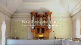 Niederzwehren  Free sample set for GrandOrgue [upl. by Binnings]