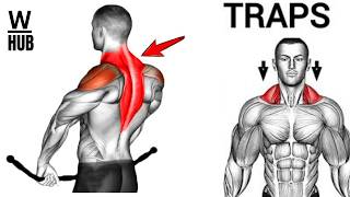 Trapezius Workout At Home  Back Wing Shoulder Exercises [upl. by Artinak941]