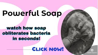 soap vs bacteria the battle of soap to keep us healthy [upl. by Anelec]