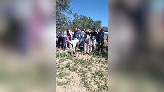 Mazón y Barrachina presentan en Viver Castellón nuevas ayudas a agricultores y ganaderos [upl. by Anahpos523]