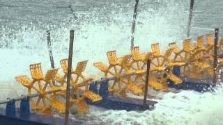 8 paddle wheel aerators [upl. by Rraval]