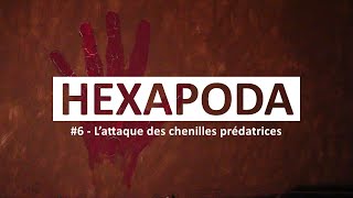 HEXAPODA 6  L’attaque des chenilles prédatrices ⭐️⭐️ [upl. by Serrell]