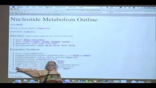 Kevin Aherns BiteSized Biochemistry 39  Nucleotide Metabolism I [upl. by Fradin]