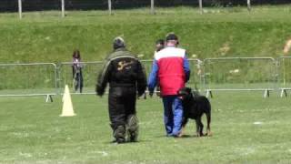 Beauceron Nationale d Elevage 2009 Ring 3 6 partie [upl. by Elacsap]