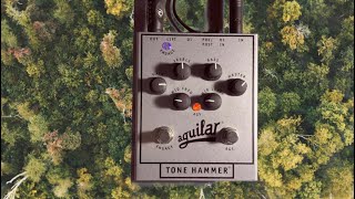 Aguilar Tone Hammer Preamp Demo  1963 Fender Jazz Bass [upl. by Blas]