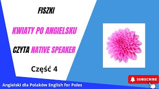 Fiszki kwiaty po angielsku Część 4 film interaktywny Mówi Native Speaker [upl. by Ldnek]