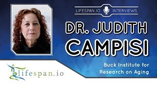 Judith Campisi Interview at Undoing Aging 2019 [upl. by Einavoj750]