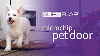 SureFlap Microchip Pet Door  Door Installation [upl. by Inail562]