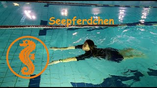 In 10 Schritten zum Seepferdchen [upl. by Reve]