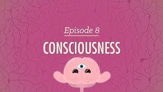 Consciousness Crash Course Psychology 8 [upl. by Sandon]