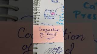 Coagulation of blood  Class 11  NEET [upl. by Araem735]