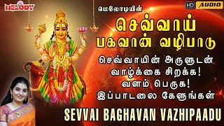 Sevvai Baghavan Vazhipaadu  Sevvai Padal  Mahanadhi Shobana [upl. by Arndt]