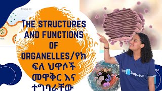 Grade 7 General Science Unit 4 The structures and functions of organelles [upl. by Yhprum985]