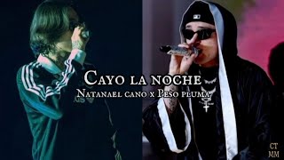 Cayo la noche  Natanael cano x Peso pluma [upl. by Astrix86]