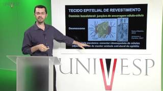 Células e Tecidos  aula 18  Biologia do tecido epitelial de revestimento [upl. by Lyon980]