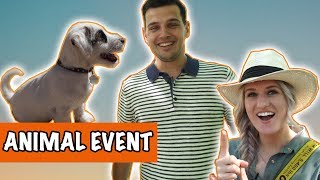 Animal event 2018  DierenpraatTV [upl. by Acnairb]