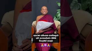 අසරණ අහිංසක තාත්තලාව අපි භාරගන්නවා කිසිම වියදමක් නැතුව 🙏 [upl. by Ljoka]