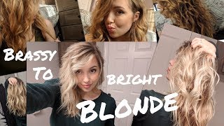 Highlighting my HAIR From Brassy to Bright Blonde [upl. by Maisie311]