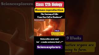 Human Reproduction Class 12th Biology chapter 3 neet  Cbse ncert Part 4 [upl. by Annahsat147]