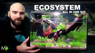 Ecosystem Aquarium In A Nano Kit Tank [upl. by Ynaffik]