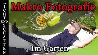 Makro Fotografie im Garten mit Godox MF12 Blitz und selbstgebautem Diffusor [upl. by Darryl]