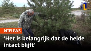 Gratis kerstboom afzagen op Brunssumerheide🎄  1Limburg [upl. by Attenyt]